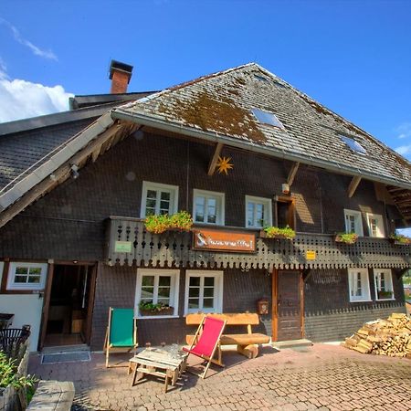 Wohlfuehl-Ferienwohnung 80 Qm, 8 Personen, Aussicht & Heimkino Todtnau Exteriör bild