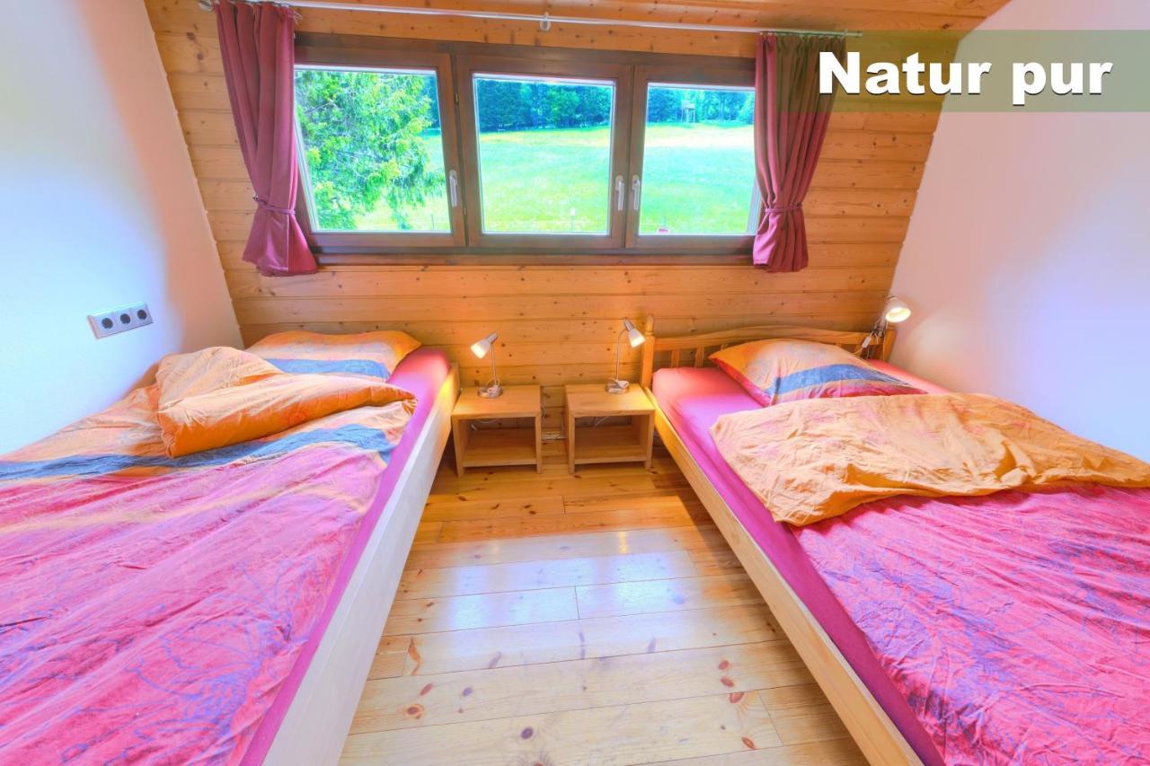 Wohlfuehl-Ferienwohnung 80 Qm, 8 Personen, Aussicht & Heimkino Todtnau Exteriör bild