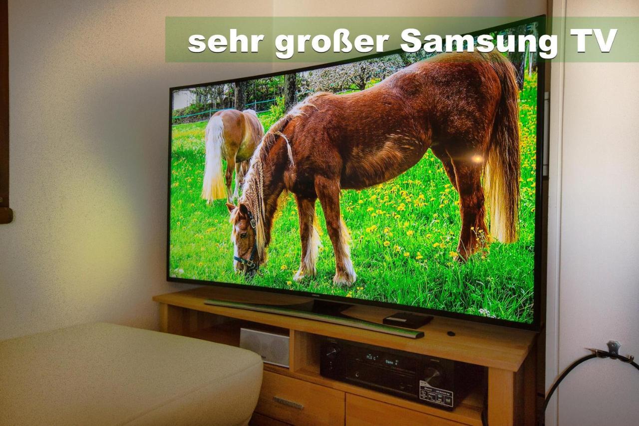 Wohlfuehl-Ferienwohnung 80 Qm, 8 Personen, Aussicht & Heimkino Todtnau Exteriör bild