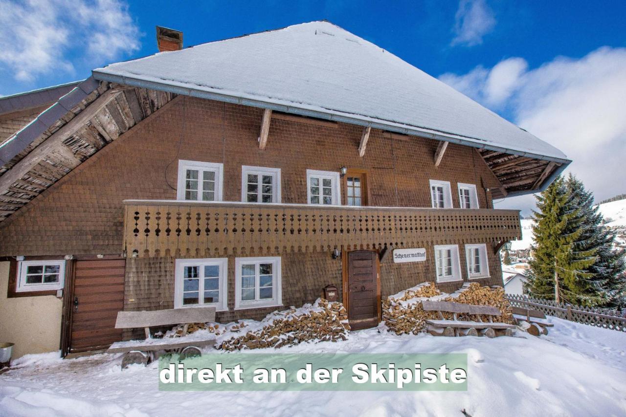 Wohlfuehl-Ferienwohnung 80 Qm, 8 Personen, Aussicht & Heimkino Todtnau Exteriör bild