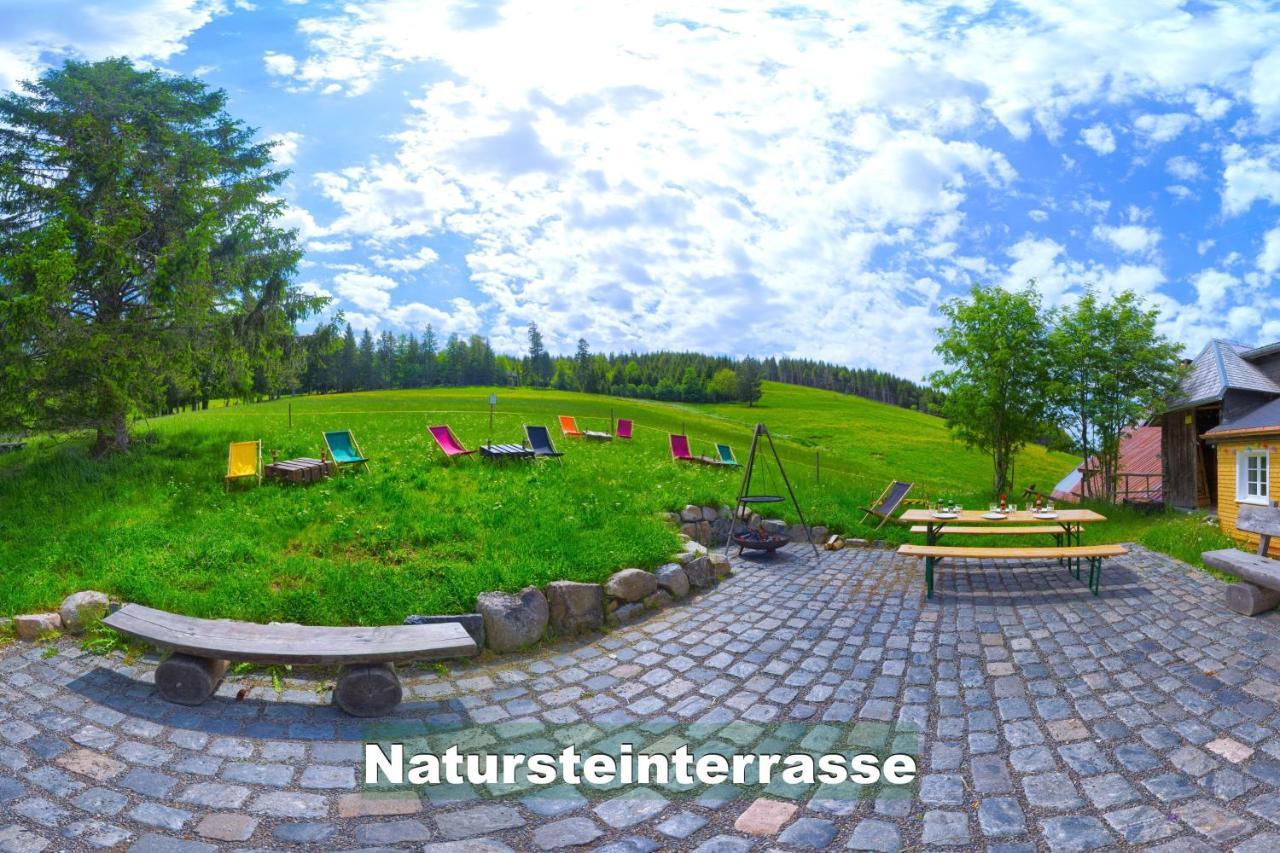 Wohlfuehl-Ferienwohnung 80 Qm, 8 Personen, Aussicht & Heimkino Todtnau Exteriör bild